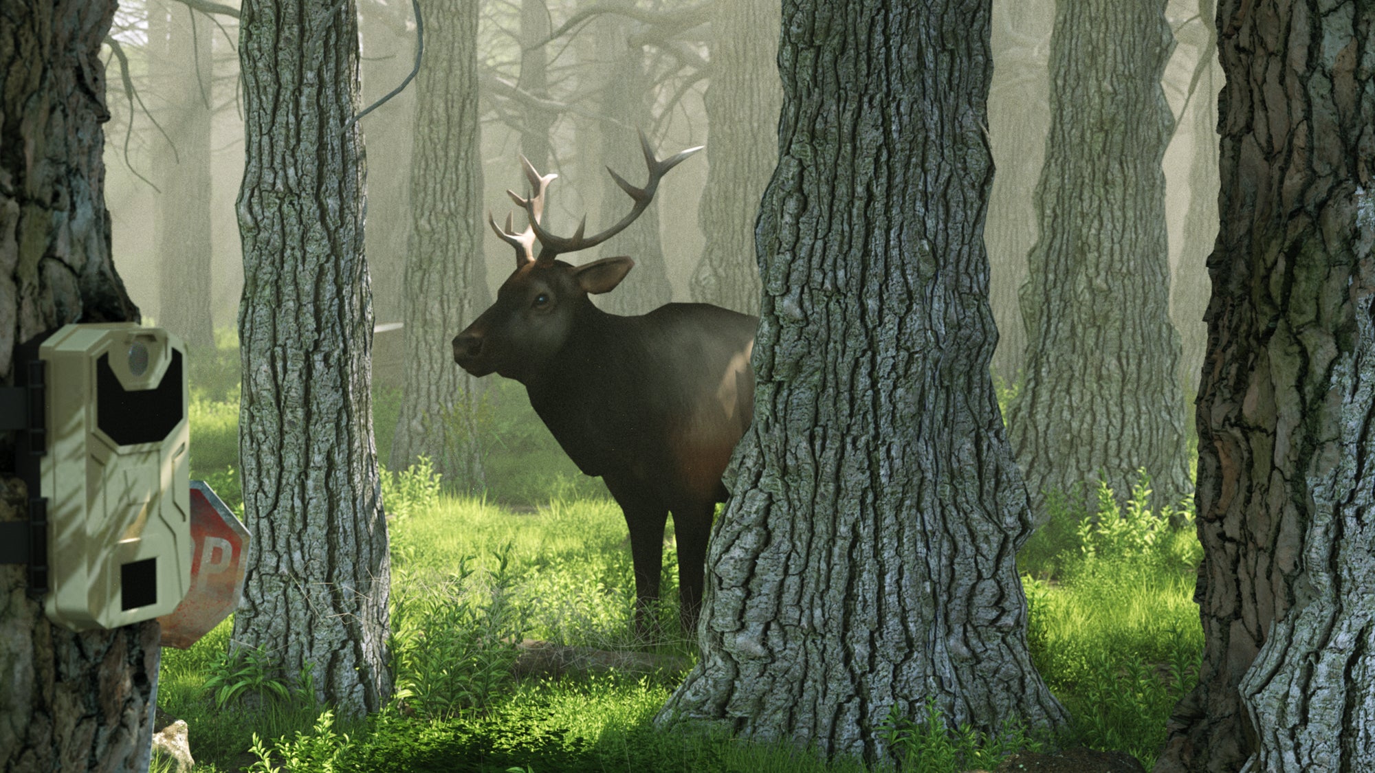 Lithium Battery Helps Hunting